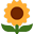sunflower.png